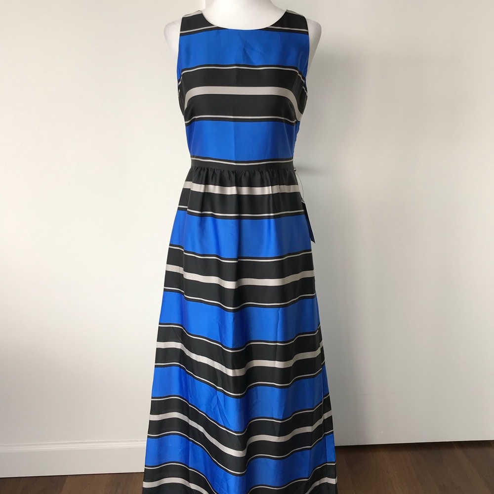 THE LIMITED Colorful and Elegant Maxi Dress